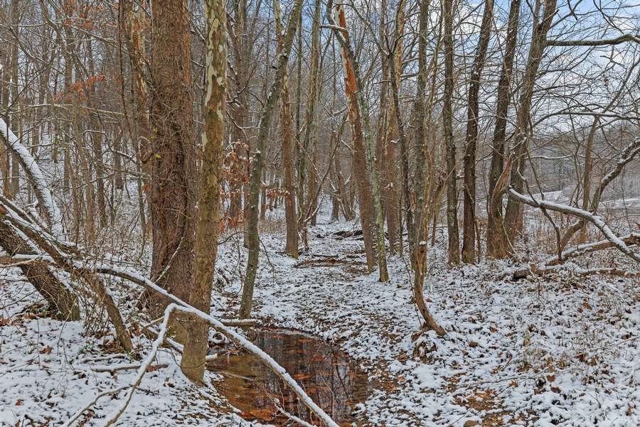 34-0 Waggener Ch-Chalbeate Rd Clay KY 42404_20251203_034.jpg